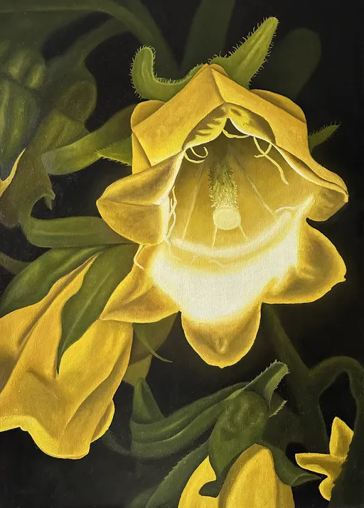 Свет изнутри